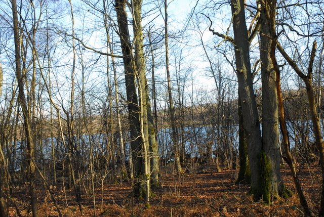 2009 Crapaudrome de Guiperreux 14